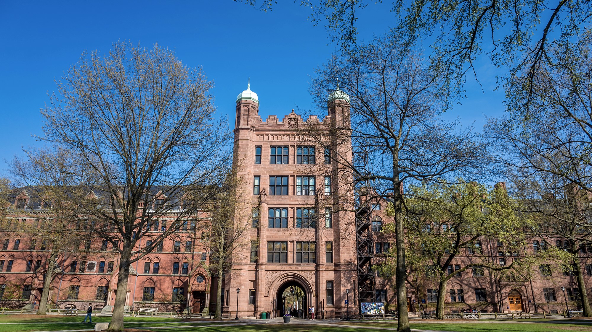 images/yale.jpg